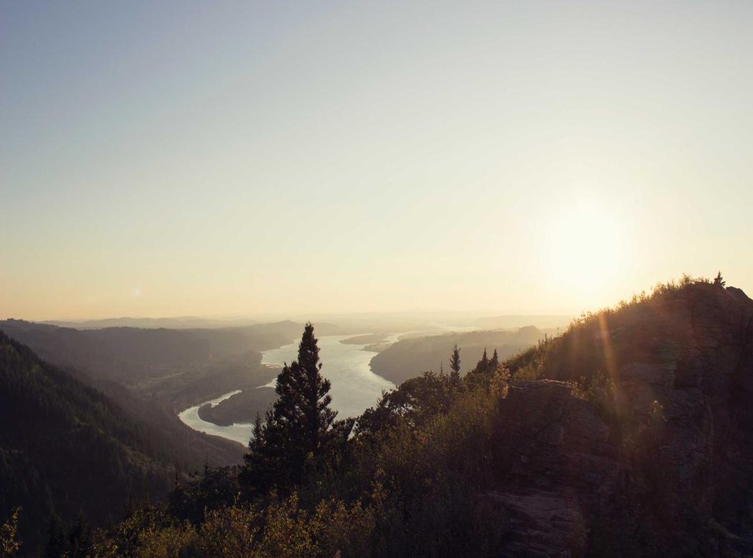 Rosario Palavecino: A Life Away from the Spotlight