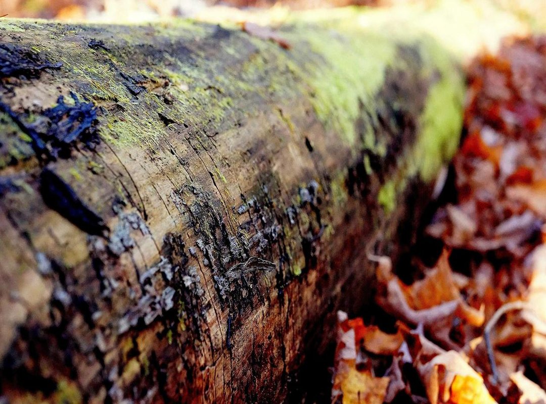 Your Quick-Start Guide: Go from Zero to Trading in Under 5 Minutes