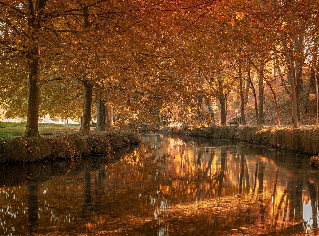 Analyzing the Bold Fashion and Style of 'La Nena de Argentina'