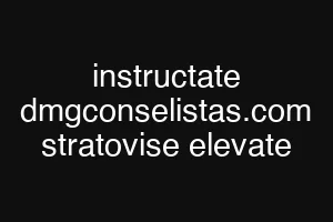 instructate dmgconselistas.com stratovise elevate
